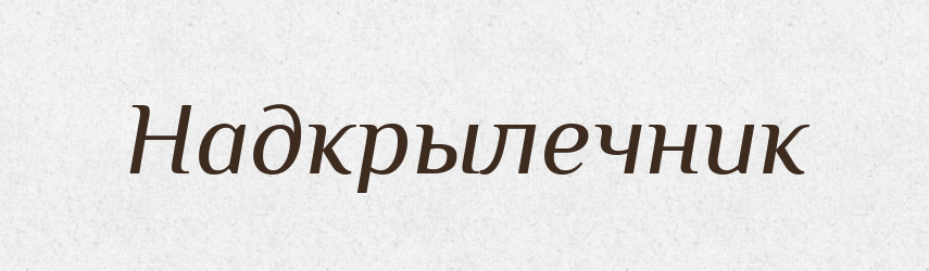 Надкрылечник — Російсько-український академічний словник (А–П)
