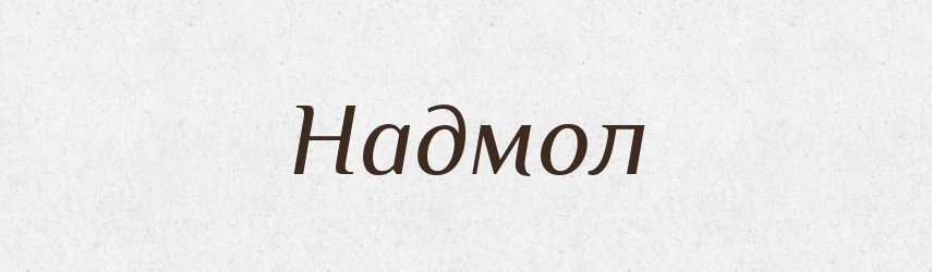 Надмол — Російсько-український академічний словник (А–П)