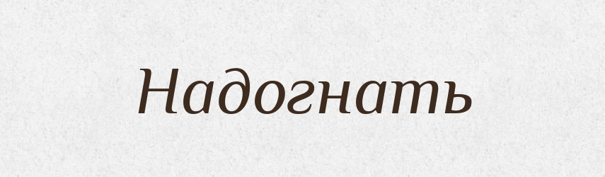 Надогнать — Російсько-український академічний словник (А–П)