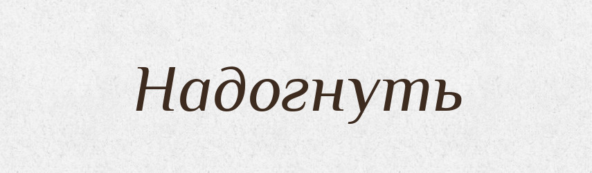 Надогнуть — Російсько-український академічний словник (А–П)