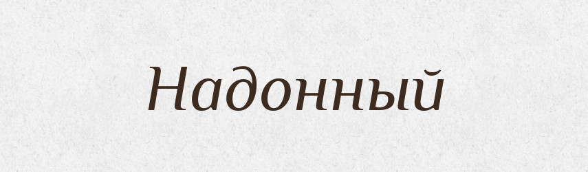 Надонный — Російсько-український академічний словник (А–П)