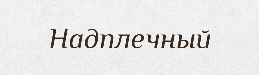 Надплечный — Російсько-український академічний словник (А–П)