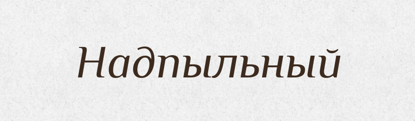 Надпыльный — Російсько-український академічний словник (А–П)
