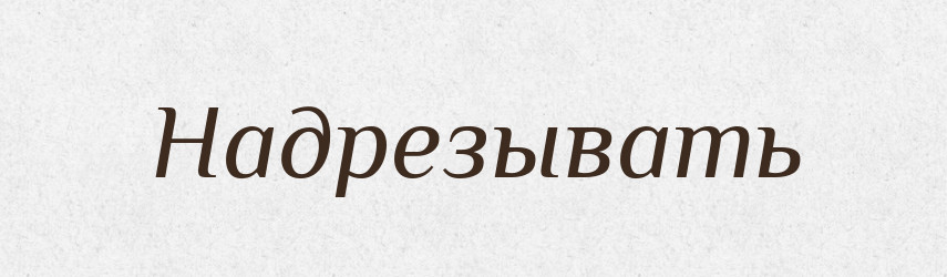 Надрезывать — Російсько-український академічний словник (А–П)