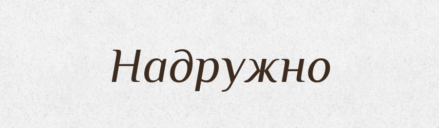 Надружно — Російсько-український академічний словник (А–П)