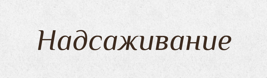 Надсаживание — Російсько-український академічний словник (А–П)
