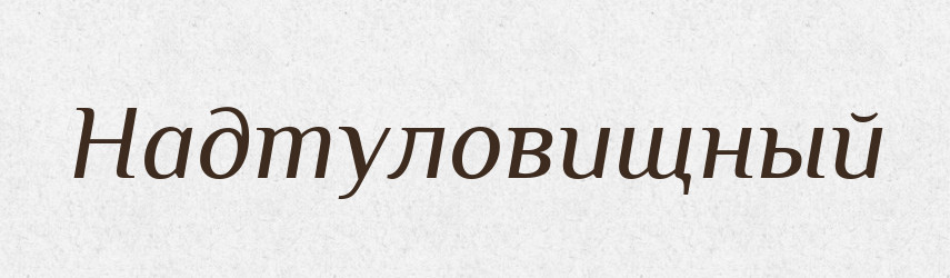 Надтуловищный — Російсько-український академічний словник (А–П)