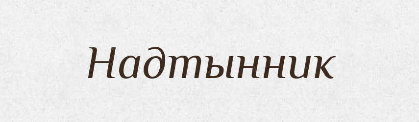 Надтынник — Російсько-український академічний словник (А–П)