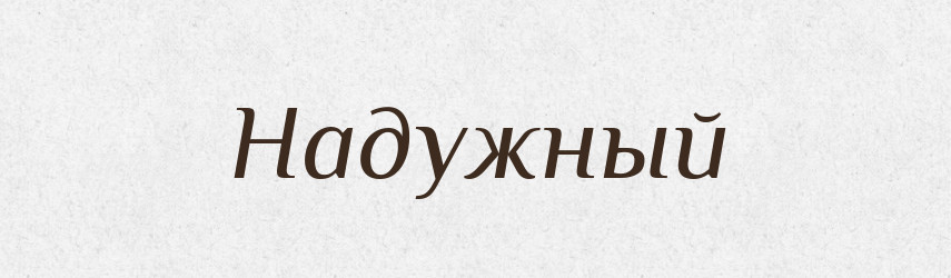 Надужный — Російсько-український академічний словник (А–П)