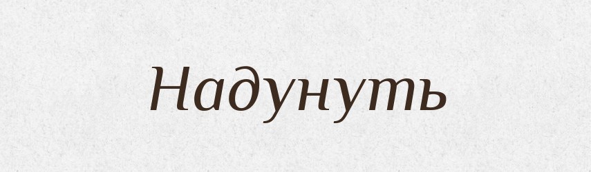 Надунуть — Російсько-український академічний словник (А–П)