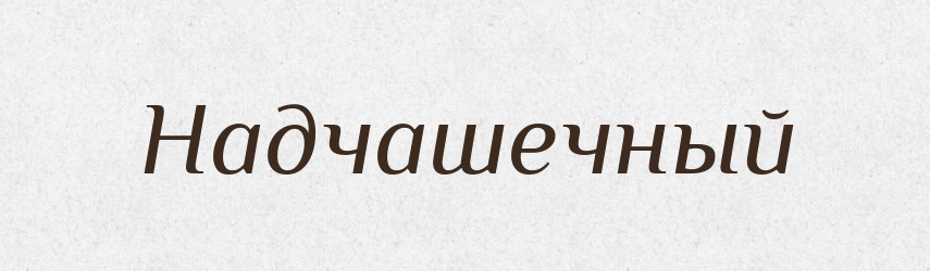 Надчашечный — Російсько-український академічний словник (А–П)