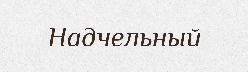 Надчельный — Російсько-український академічний словник (А–П)