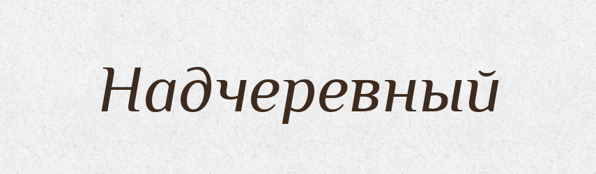 Надчеревный — Російсько-український академічний словник (А–П)