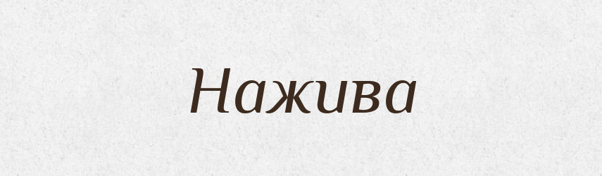 Нажива — Російсько-український академічний словник (А–П)