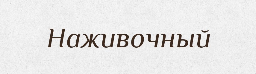 Наживочный — Російсько-український академічний словник (А–П)