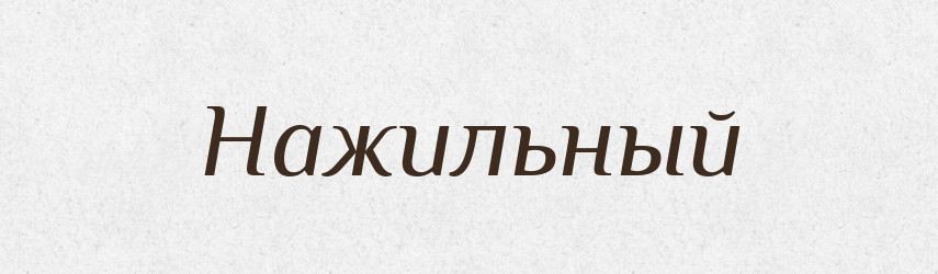Нажильный — Російсько-український академічний словник (А–П)