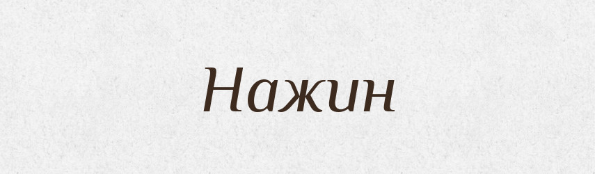 Нажин — Російсько-український академічний словник (А–П)