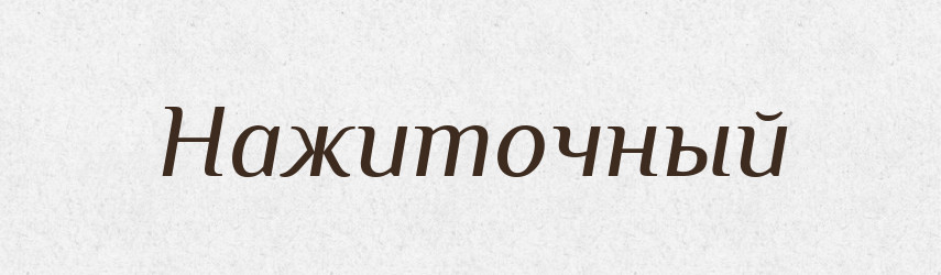 Нажиточный — Російсько-український академічний словник (А–П)