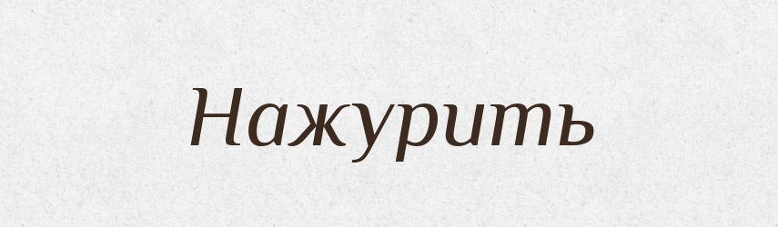 Нажурить — Російсько-український академічний словник (А–П)
