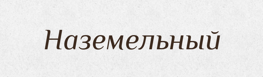 Наземельный — Російсько-український академічний словник (А–П)
