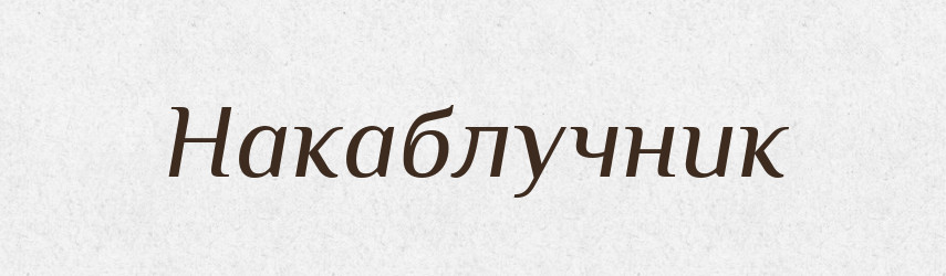 Накаблучник — Російсько-український академічний словник (А–П)