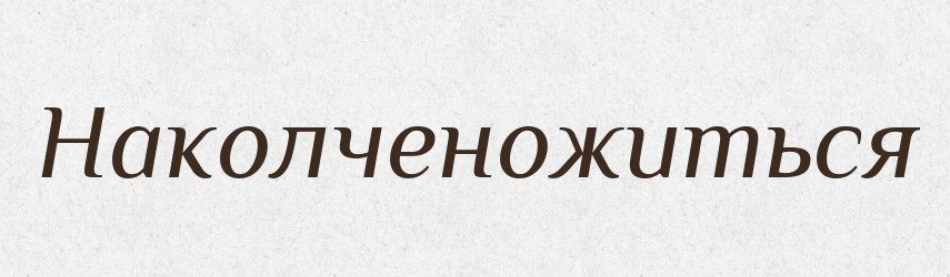 Наколченожиться — Російсько-український академічний словник (А–П)