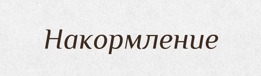 Накормление — Російсько-український академічний словник (А–П)