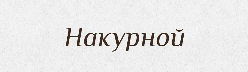 Накурной — Російсько-український академічний словник (А–П)