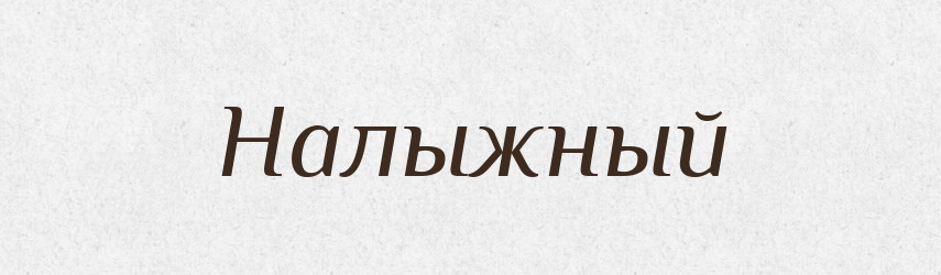 Налыжный — Російсько-український академічний словник (А–П)