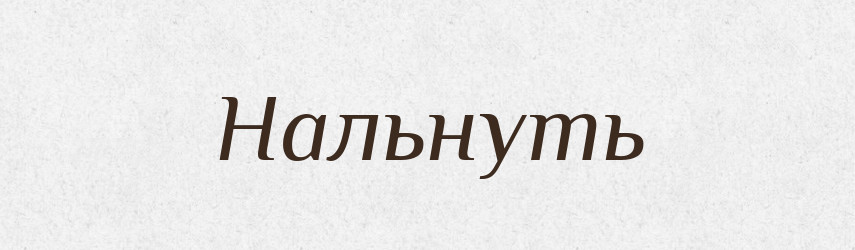 Нальнуть — Російсько-український академічний словник (А–П)