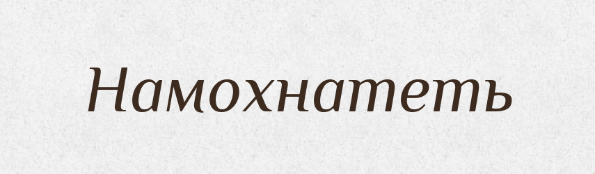 Намохнатеть — Російсько-український академічний словник (А–П)