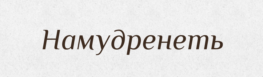 Намудренеть — Російсько-український академічний словник (А–П)