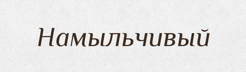 Намыльчивый — Російсько-український академічний словник (А–П)