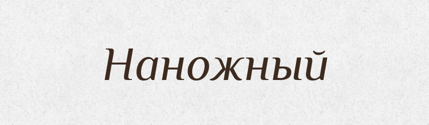 Наножный — Російсько-український академічний словник (А–П)