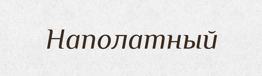 Наполатный — Російсько-український академічний словник (А–П)