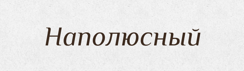 Наполюсный — Російсько-український академічний словник (А–П)