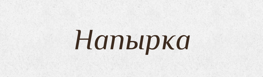 Напырка — Російсько-український академічний словник (А–П)