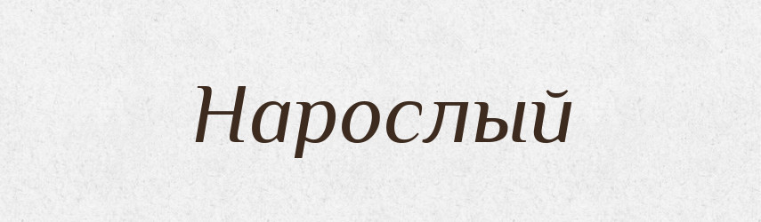 Нарослый — Російсько-український академічний словник (А–П)