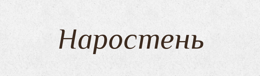 Наростень — Російсько-український академічний словник (А–П)