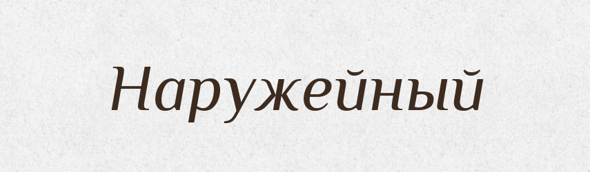 Наружейный — Російсько-український академічний словник (А–П)