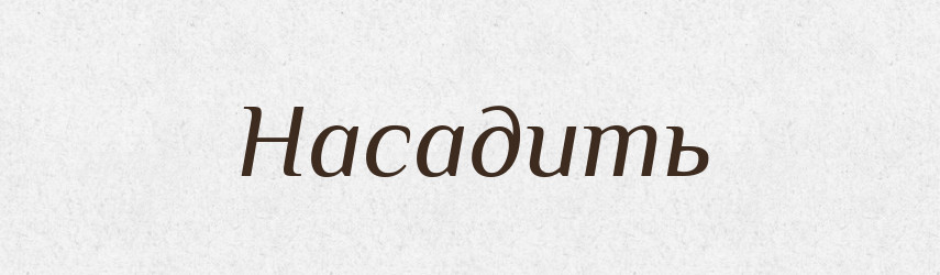 Насадить — Російсько-український академічний словник (А–П)