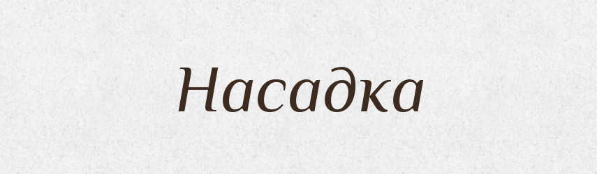 Насадка — Російсько-український академічний словник (А–П)
