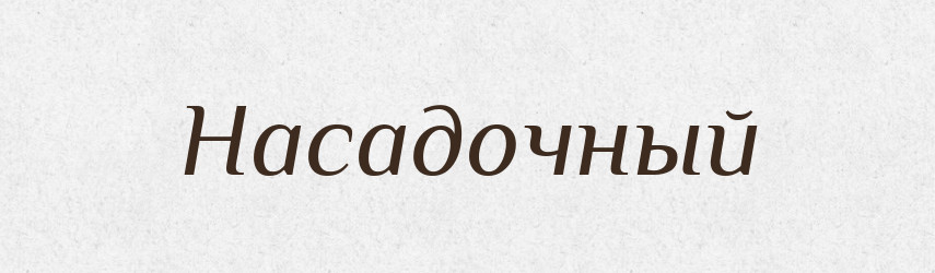 Насадочный — Російсько-український академічний словник (А–П)