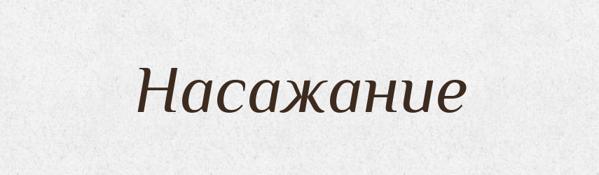 Насажание — Російсько-український академічний словник (А–П)