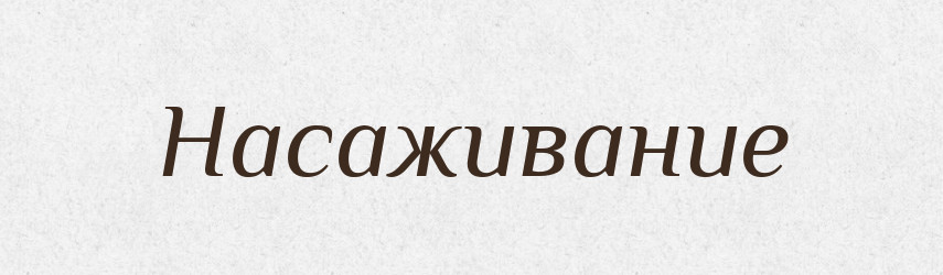 Насаживание — Російсько-український академічний словник (А–П)