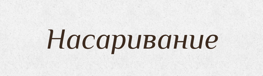 Насаривание — Російсько-український академічний словник (А–П)