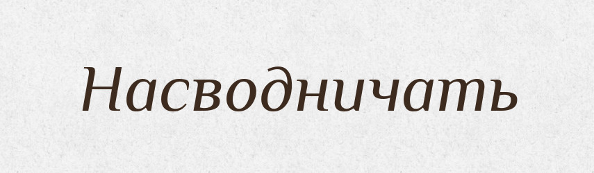 Насводничать — Російсько-український академічний словник (А–П)
