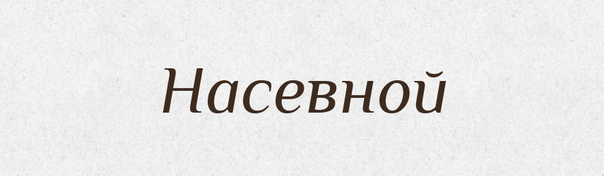 Насевной — Російсько-український академічний словник (А–П)