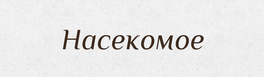 Насекомое — Російсько-український академічний словник (А–П)