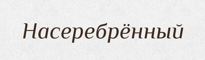 Насеребрённый — Російсько-український академічний словник (А–П)